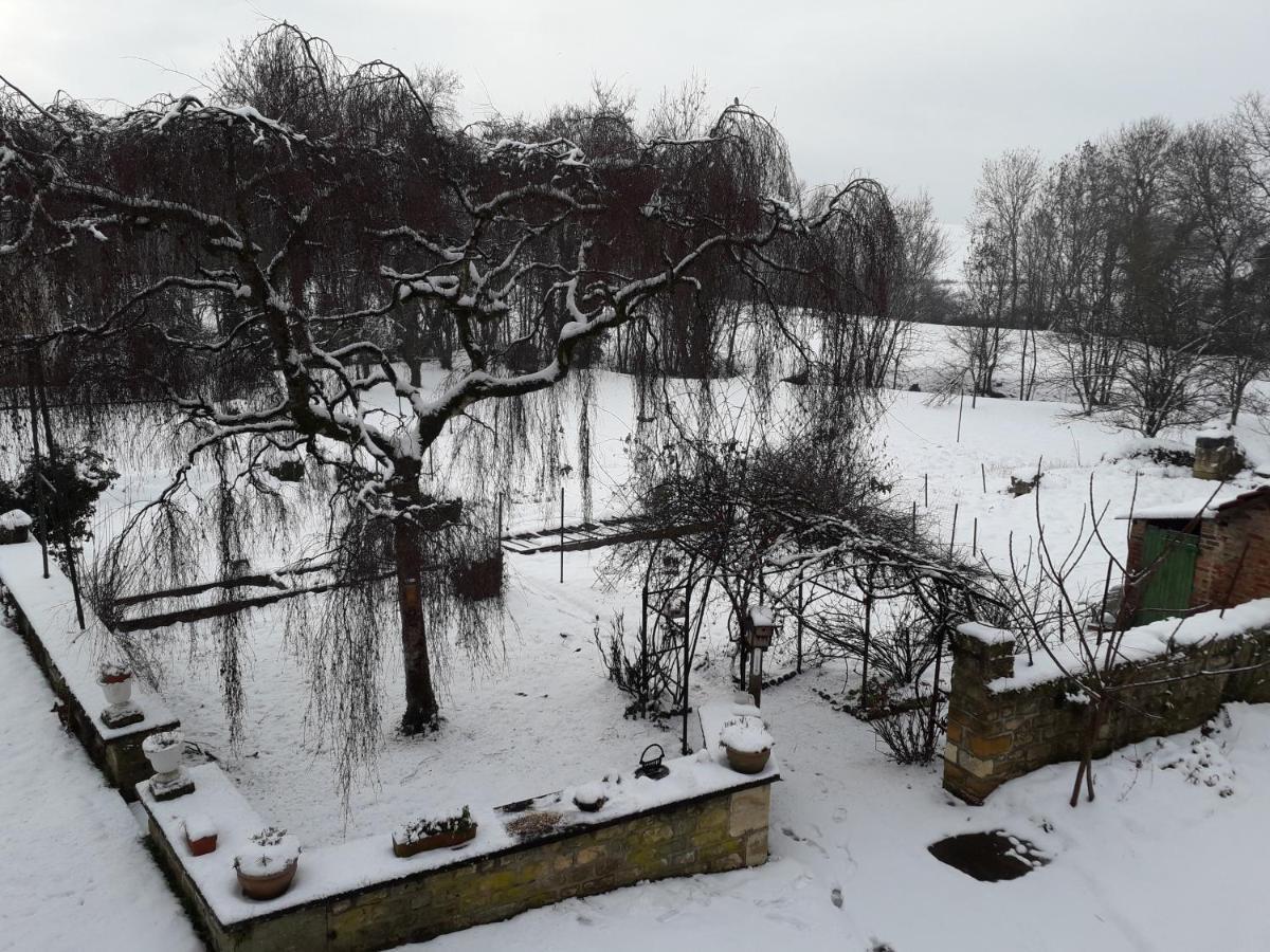 Gite Tante Aurore Et Chambres D'Hotes Chemery-Chehery Экстерьер фото
